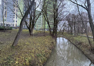 2-к квартира, вторичка, 55м2, 10/26 этаж