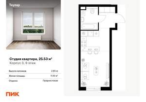 Студия квартира, вторичка, 26м2, 9/24 этаж