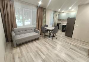 1-к квартира, вторичка, 30м2, 1/5 этаж