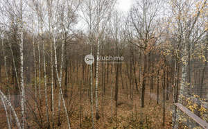 1-к квартира, вторичка, 37м2, 5/9 этаж