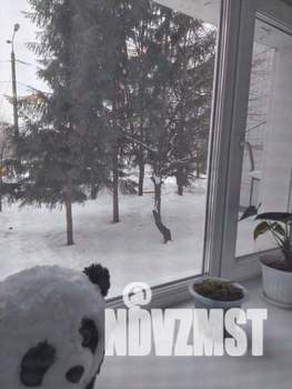 2-к квартира, вторичка, 38м2, 1/9 этаж