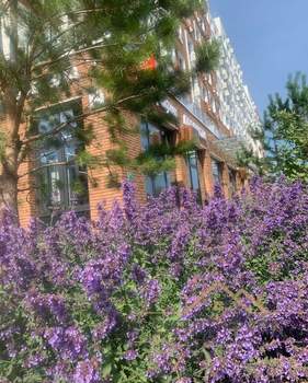 Студия квартира, вторичка, 23м2, 6/9 этаж