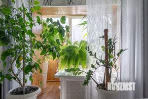 3-к квартира, вторичка, 74м2, 1/10 этаж