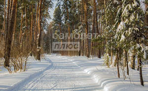 3-к квартира, вторичка, 58м2, 1/5 этаж