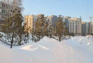 2-к квартира, вторичка, 81м2, 7/9 этаж