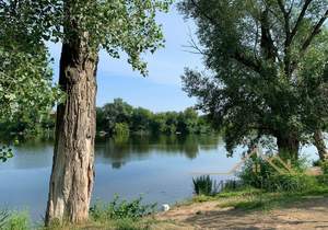 Студия квартира, вторичка, 23м2, 6/9 этаж