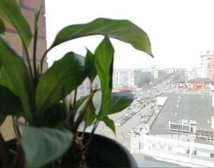 2-к квартира, вторичка, 69м2, 11/16 этаж
