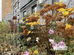 1-к квартира, вторичка, 42м2, 8/10 этаж