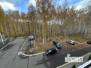 2-к квартира, вторичка, 55м2, 3/8 этаж