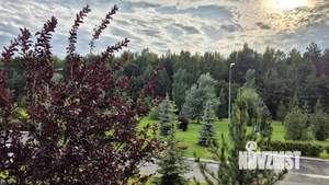 2-к квартира, вторичка, 69м2, 2/5 этаж
